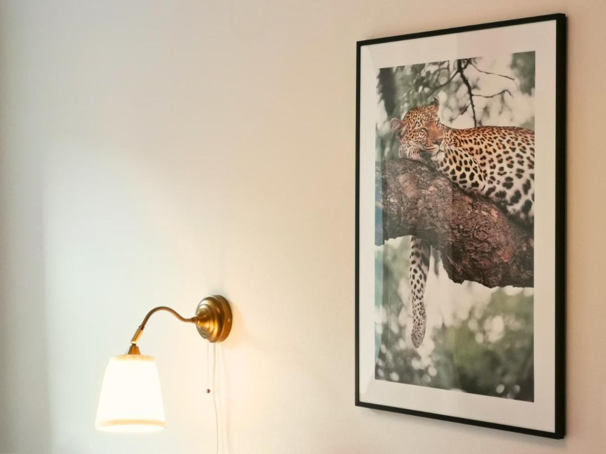 Fynbos Apartments Deluxe, Balkon, Historisch, Parkplatz Meißen Eksteriør bilde